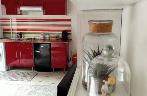 Villejuif Appartement | Studio with garden in a quiet setting just outside Paris