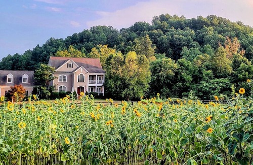 Afton Appartement | Studio with mountain views and private entrance near wineries and hiking