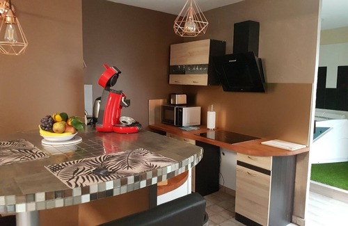 Epernay Appartement | Studio avec jacuzzi privatif, terrasse et balcon et billard