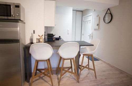 Saverne Appartement | Studio zone piétonne à Saverne