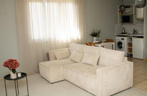 Porte Des Alpes - Mi Plaine - Manissieux Appartement | StudioEurexpo - spacieux & confort