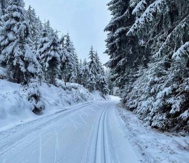 Horni Blatna Maison | Stuga Horni Blatna