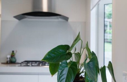 St. Heliers Maison | Stunning in St Heliers