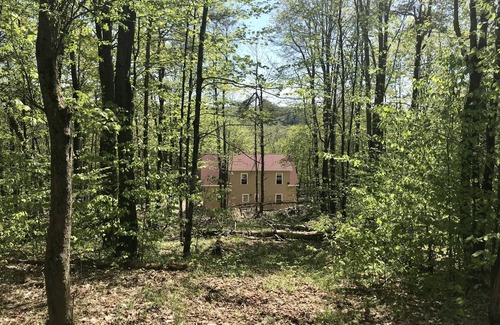 Osceola Chalet De Ski | Stunning New Chalet in 17 acre Tug Hill Woodland Retreat