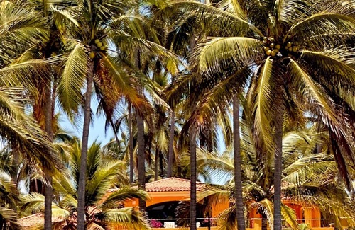 Zacualpan Maison | Stunning ocean front villa on a 9-mile protected turtle reserve beach