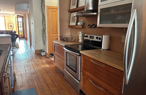 Wabasha Copropriété | Stunning river view loft in Wabasha near Eagle Center