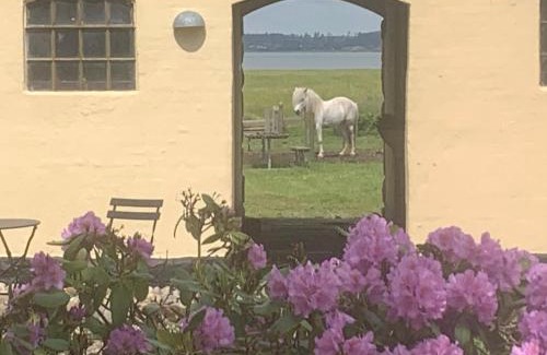 Ebeltoft Appartement | Stutteri Ahl near beach and town