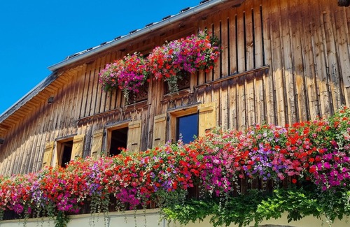 Araches-la-Frasse Appartement | Appartement élégant pouvant accueillir confortablement 5 personnes, au coeur des Carroz