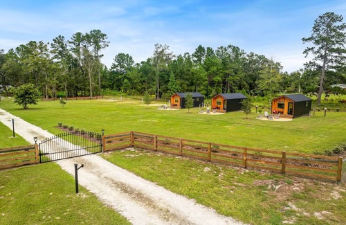 Lake City Cabine | Stylish Cabin - Nearby Springs
