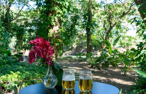 Sabaneta de Yasica Cabine | Stylish Jungle Cabin – Riverfront Retreat with Hammocks & Wi-Fi