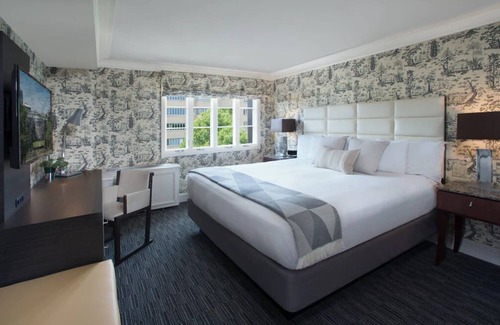 Kalorama Heights Hôtel | Stylish Room, Minutes to George Washington University, Pets Are Allowed!