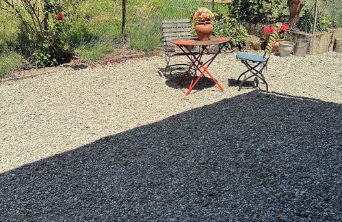 Weinfelden Maison | Stylish vacations in the countryside with your pet