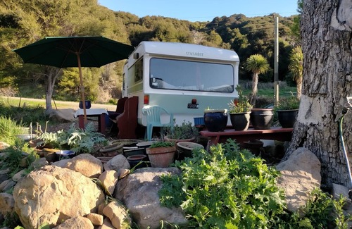 Akaroa Maison | Stylish vintage caravan on a farm over looking bush and river.