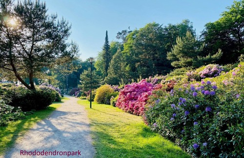 Markgrafenheide Appartement | Stylishly furnished and light-flooded holiday apartment in Markgrafenheide