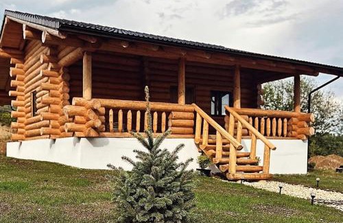 Vulcan Chalet De Ski | Sub Stele Chalets