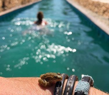 Santiago do Cacem Autre | Sublim' Ecolodge