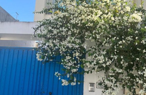 Khaznadar Appartement | Sublime duplex au Bardo Tunis
