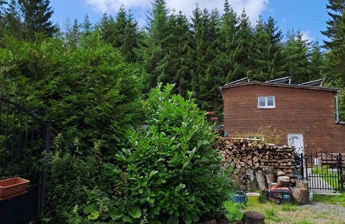 Rendeux Maison | Sublime forêt