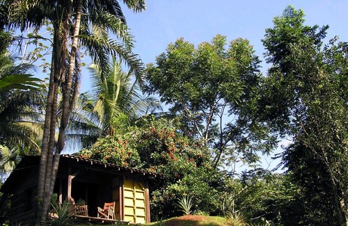 Rincon Cabine | Suital Lodge