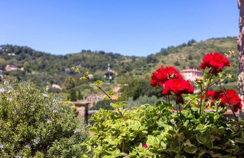 Bagnaia Appartement | SUITE ELEVEN ISOLA D'ELBA