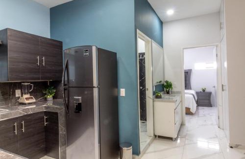 Zapotlanejo Appartement | Suite Jr Lujo en el Corazon de Zapotlanejo 203