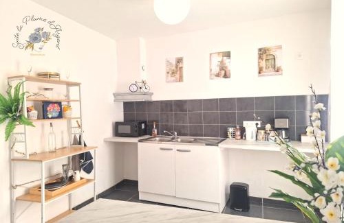 Bedarieux Hôtel | Suite la Plume d'Argent