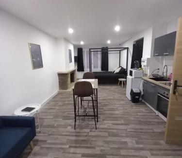 Saint-Paul-de-Fenouillet Appartement | Suite Noire et Blanche