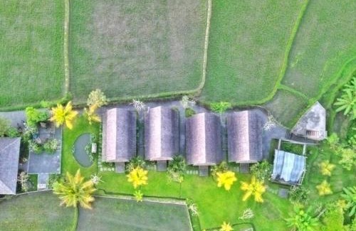 Peliatan Cabine | Suite Room with AC ,surrounded by ricefield By iLys Collection