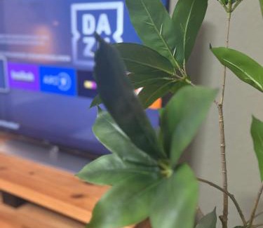 Lichtenberg Appartement | Suite SZ-Lichtenberg