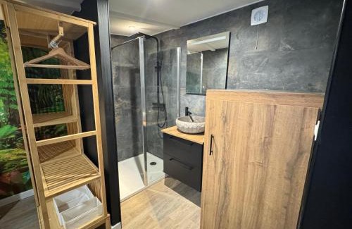Cuincy Appartement | Suite Tropical-Netflix-Parking