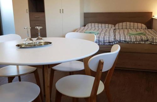 Karlovy Vary Appartement | Suite with back garden