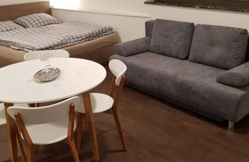 Karlovy Vary Appartement | Suite with back garden