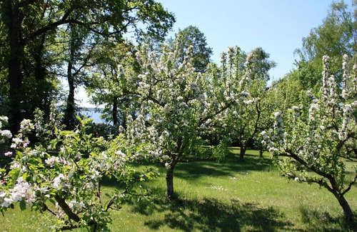Bad Saarow Appartement | Suite avec terrasse et vue sur l'église, accès au lac - Ferienhof Löschebrand