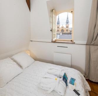 Charleville-Mezieres Appartement | Suites Mana - Te Fiti en Plein Centre de la Place Ducale avec vue sur les toits