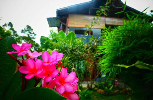 Bohorok Maison | Sumatra Orangutan Discovery Villa
