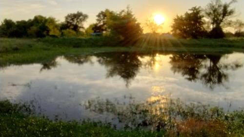 Wills Point Autre | Summer Breeze RV Park