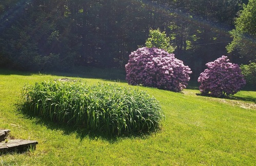 Margaretville Cabine | Summer Cabin in Margaretville 2.5 hours from NYC