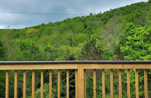 Margaretville Cabine | Summer Cabin in Margaretville 2.5 hours from NYC