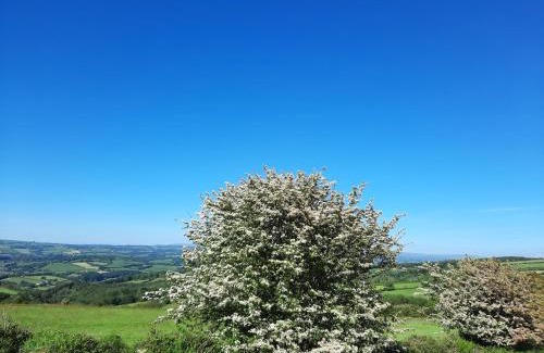 Saint Ann's Chapel Autre | Summit Camping Kit Hill Rd Cornwall Panoramic Views Grass Pitch from 15pn or Bella Bell Tent 75pn