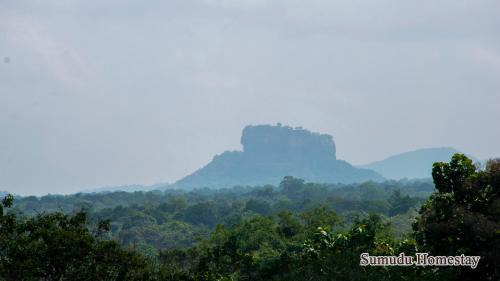 Sigiriya Maison | Sumudu Homestay