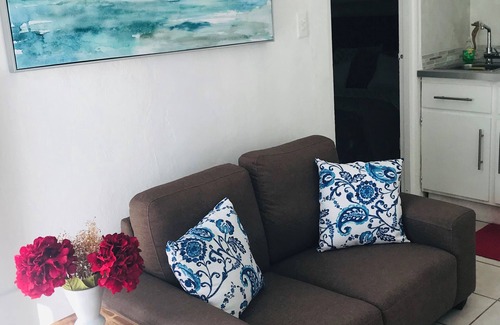Eleanor Roosevelt Appartement | Sun 311 Roosevelt Downtown local-urban humble area 1-bedroom apartment with AC
