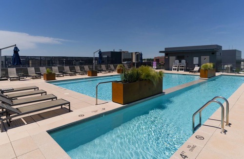 Bethesda Appartement | Sunny 1BR Near Woodmont Triangle w/ Amenities