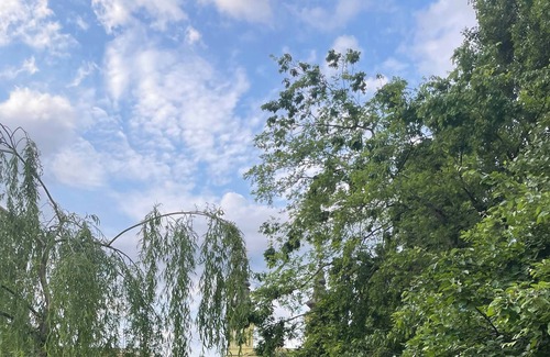 Szentimrevaros Appartement | Sunny and Calm Apartment Central Buda