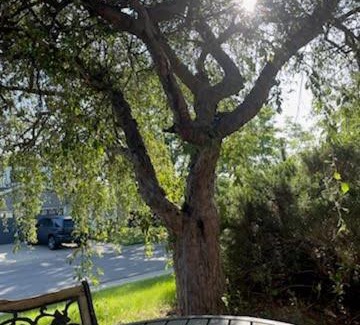 North Central Westminster Maison | Sunny and Spacious, Hottub, Piano, Guitars, Fenced Yard, Pets Welcome, LGBT Friendly