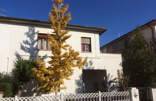 Pisa Appartement | Appartement ensoleillé dans un quartier résidentiel, non loin du centre historique
