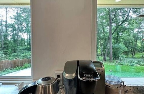 Macon Maison | Sunny Bird Sanctuary; 3 King Bds; Bike Dwntwn; EV