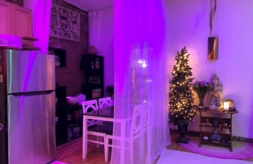 Clinton Hill Appartement | Sunny boho-zen apt