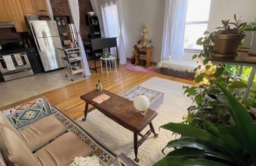 Clinton Hill Appartement | Sunny boho-zen apt