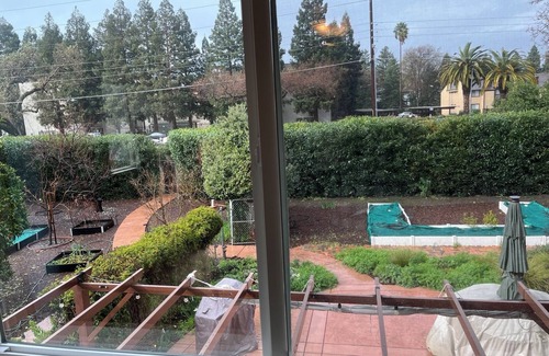 Walnut Creek Maison | Sunny One Bedroom In-law Walking Distance to Public Transit