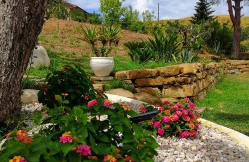 Laureana Cilento Lit Et Petit-Déjeuner | Sunrise in the Vineyard Bed and Breakfast - Oak